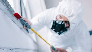 Best Pest Control for Multi-Family Homes  in Medina, TX